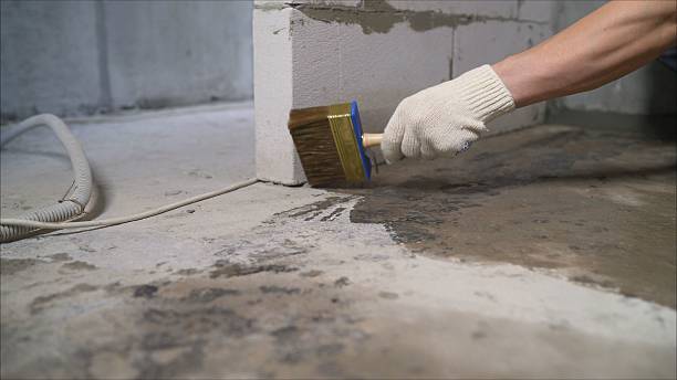 SJ Waterproofing Pros Waterproofing coverage map for Nunica, MI and surrounding area